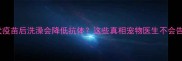 打完狂犬疫苗后洗澡会降低抗体这些真相宠物医生不会告诉你