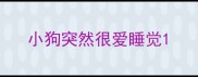 小狗突然很爱睡觉