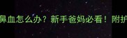 小狗出生后流鼻血怎么办新手爸妈必看附护理全攻略
