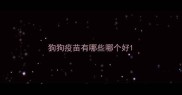 狗狗疫苗有哪些哪个好