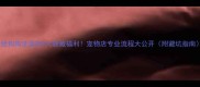给狗狗洗澡的5大隐藏福利宠物店专业流程大公开附避坑指南
