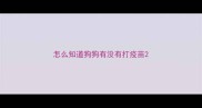 怎么知道狗狗有没有打疫苗