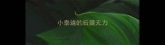 小泰迪的后腿无力
