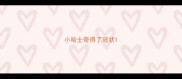 小哈士奇得了冠状