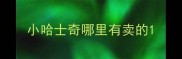小哈士奇哪里有卖的