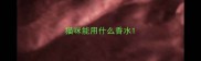 猫咪能用什么香水