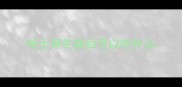 哈士奇生病后可以吃什么