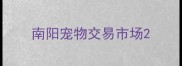 南阳宠物交易市场