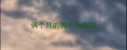 俩个月的狗不泡狗粮