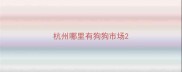 杭州哪里有狗狗市场