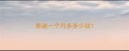 泰迪一个月多多少钱