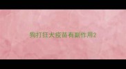 狗打狂犬疫苗有副作用