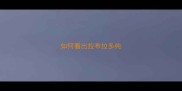 如何看出拉布拉多纯