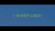小泰迪喝什么酸奶