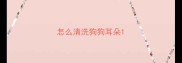 怎么清洗狗狗耳朵