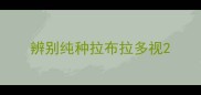 辨别纯种拉布拉多视