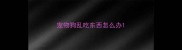 宠物狗乱吃东西怎么办