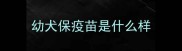 幼犬保疫苗是什么样