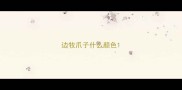 边牧爪子什么颜色