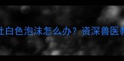 拉布拉多突然拉稀吐白色泡沫怎么办资深兽医教你3步紧急处理法