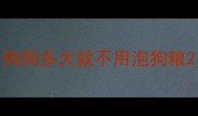 狗狗多大就不用泡狗粮