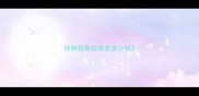 纯种拉布拉多犬多少钱