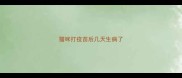 猫咪打疫苗后几天生病了