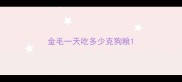 金毛一天吃多少克狗粮