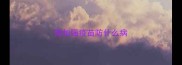 狗加强疫苗防什么病