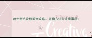 哈士奇毛发修剪全攻略正确方法与注意事项