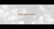 边牧吃鸡架子好不好