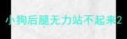 小狗后腿无力站不起来