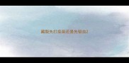 藏獒先打疫苗还是先驱虫