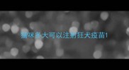 猫咪多大可以注射狂犬疫苗