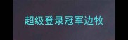超级登录冠军边牧