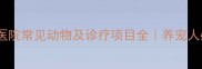 最新指南宠物医院常见动物及诊疗项目全养宠人必看避坑手册
