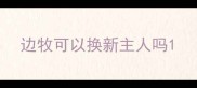 边牧可以换新主人吗