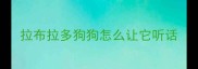 拉布拉多狗狗怎么让它听话