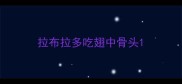 拉布拉多吃翅中骨头