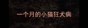一个月的小猫狂犬病