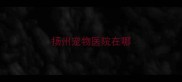 扬州宠物医院在哪