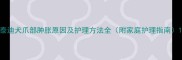 泰迪犬爪部肿胀原因及护理方法全附家庭护理指南