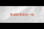 泰迪髌骨脱位一级