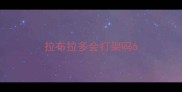拉布拉多会打架吗6