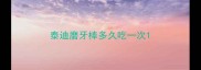 泰迪磨牙棒多久吃一次