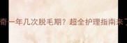 哈士奇一年几次脱毛期超全护理指南来了