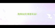 狗狗如何清理耳朵
