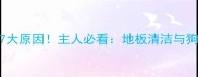 狗狗疯狂舔地板的7大原因主人必看地板清洁与狗狗健康的隐形关联