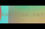 比熊犬卷毛期时间表及科学养护指南从幼犬到成犬的全周期护理