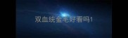 双血统金毛好看吗